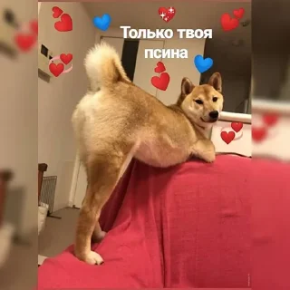 🤭