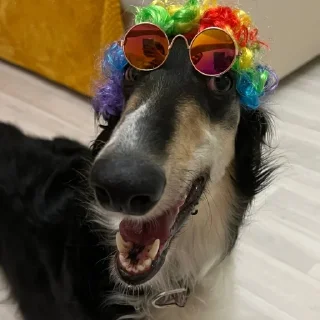 🕶