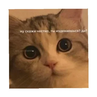 😠