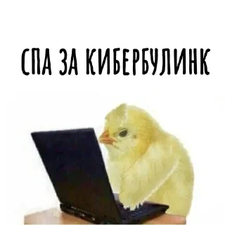 Хамим Красиво (@abc_sticker)