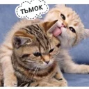 😻