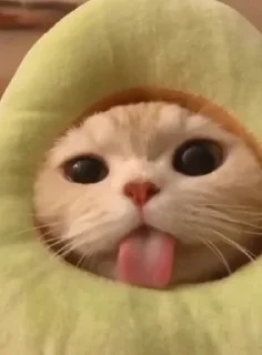 🥲
