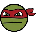 🐢