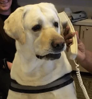 📞
