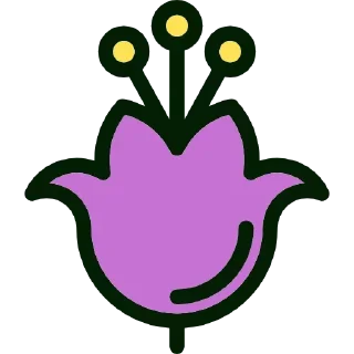 🌷