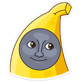 🌚
