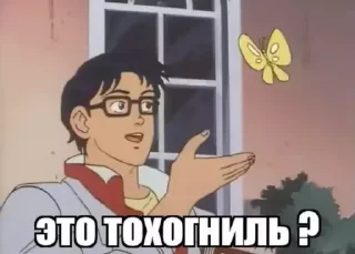 🌟