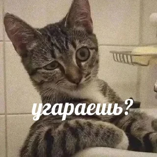 🤨