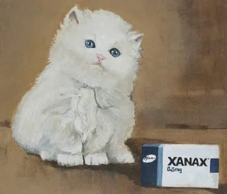 🐱