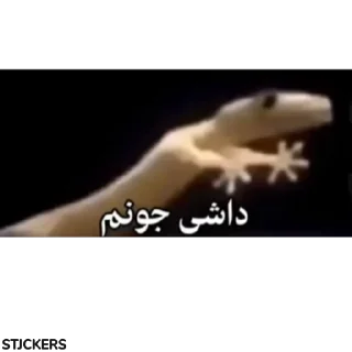 🤝