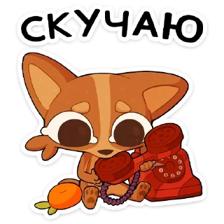 🌟