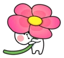 🌺