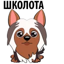 🐶