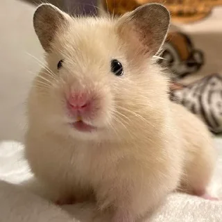 😳