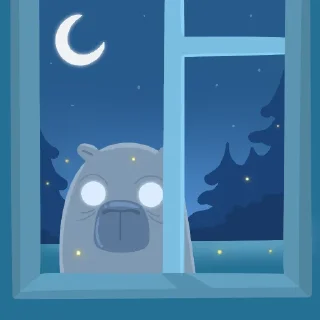 🌙