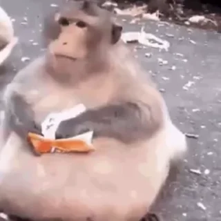🍔