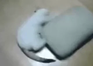 🤩