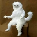 😠