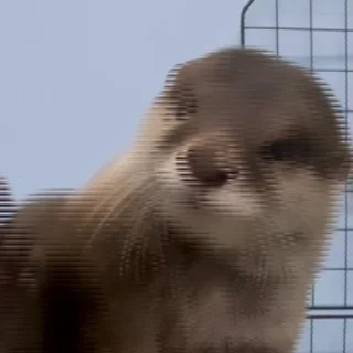 👋