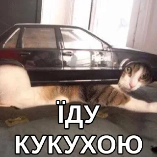 😩