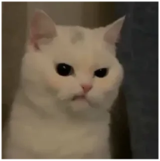 😠