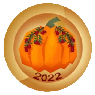🍊