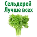 Facts About Celery @stickersb2b