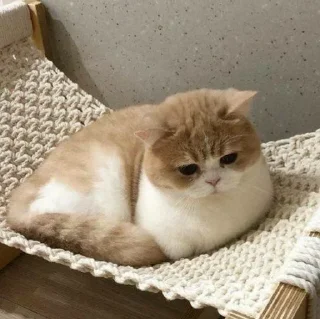 💒
