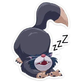 😴