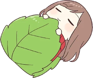 🛌