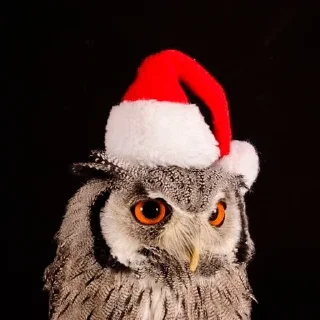 🌲