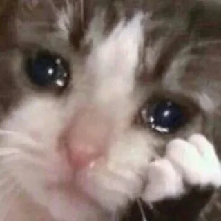 😭