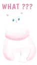 🐈
