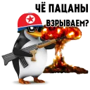 🇰🇵