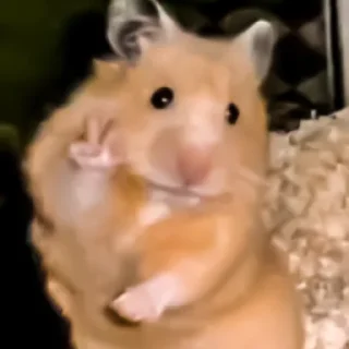 😵