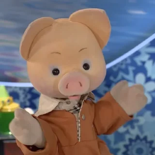 🐷