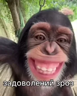 ☺️