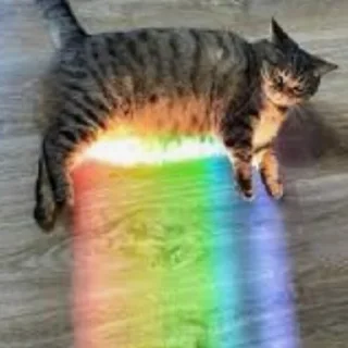 🌈