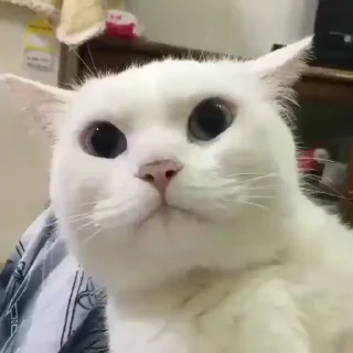 😋