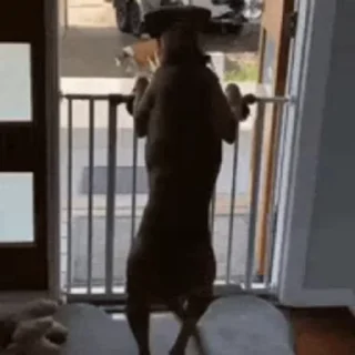 😃