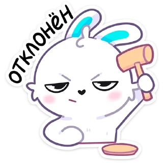 🐰