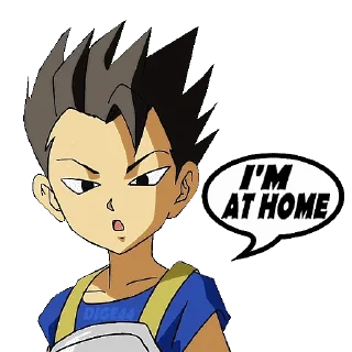 🏠