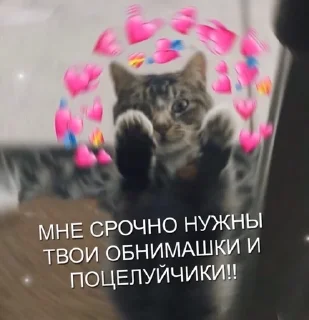 🥰