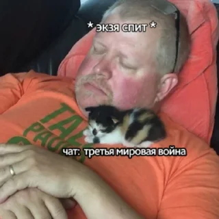 😾