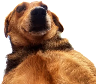 🙂