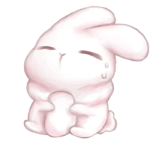 🐰