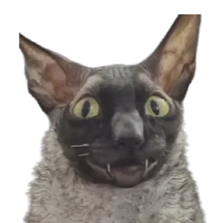 😨