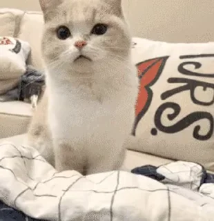 😳