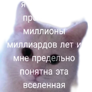 🤔
