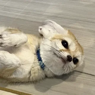 😕